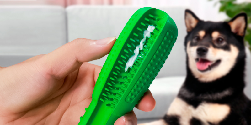 Review of Wisedom Dog Toothbrush Stick-Puppy Effective Doggy Teeth Cleaning Massager