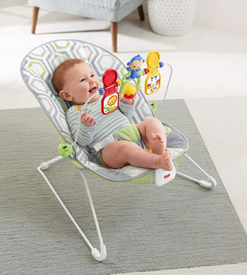 Review of Fisher-Price CMR17 Geo Meadow Baby's Bouncer