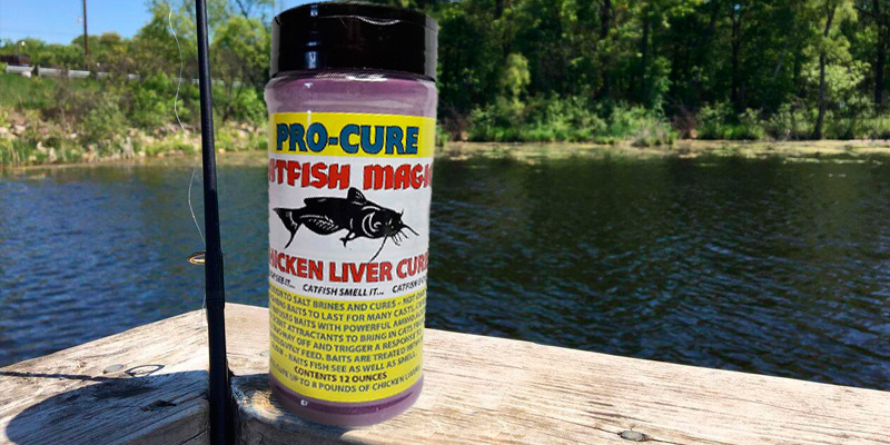 Review of Pro Cure Catfish Magic Chicken Liver Cure