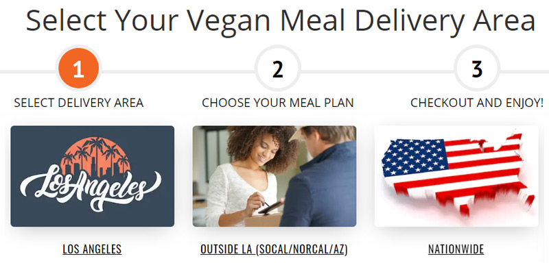 Review of Vegin' Out Vegan Meal Delivery