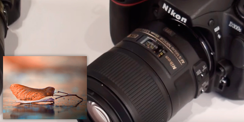 Review of Nikon AF-S DX 85mm f/3.5G ED VR Micro-NIKKOR