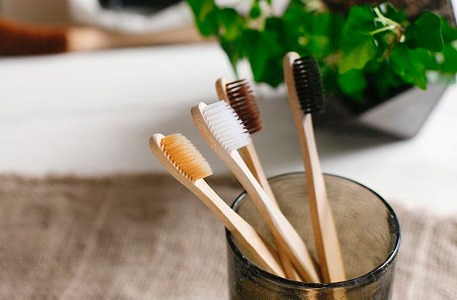 Comparison of Bamboo Toothbrushes