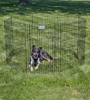 Review of MidWest Homes for Pets Folding Metal Exercise 24W x 36H Pen / Pet Playpen