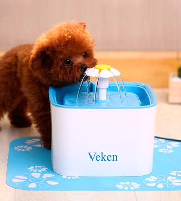 Review of Veken 84oz/2.5L Automatic Pet Water Fountain