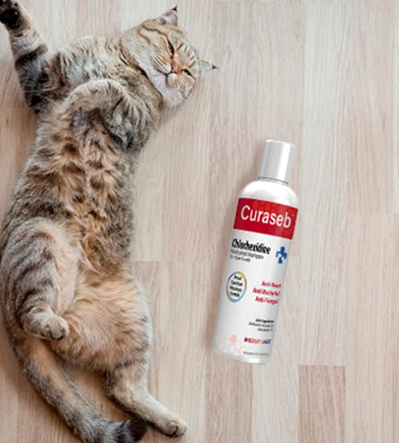 Review of BEXLEY LABS Curaseb Antifungal & Antibacterial Shampoo for Dog & Cats