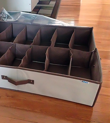 Review of PROMART Underbed Shoe Storage