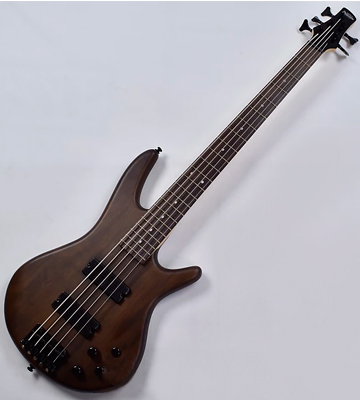 Review of Ibanez GSR205BWNF 5-String Electric Bass
