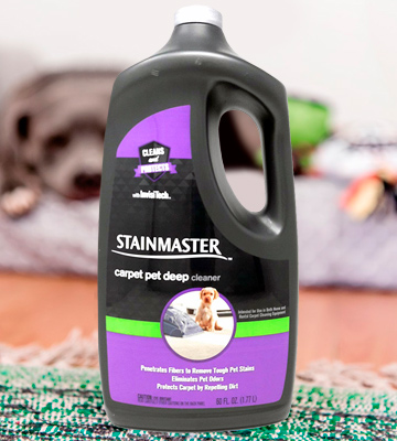 Review of STAINMASTER Carpet Pet Stain & Odor Remover Cleaner
