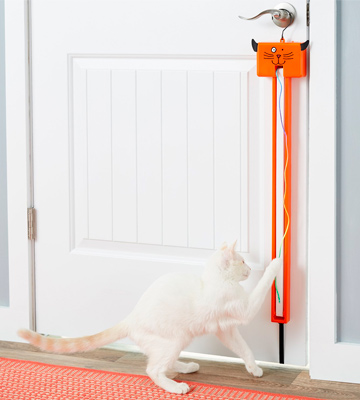 Review of MOODY PET Fling-Ama-String Cat Toy