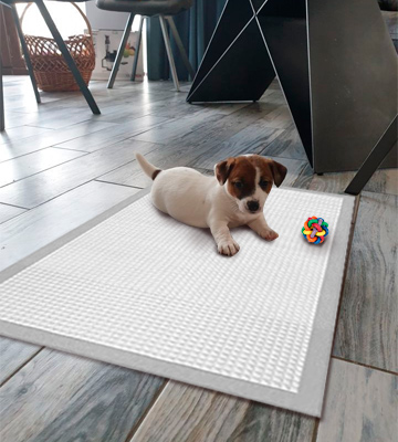 Review of PL360 Puppy Training Pads