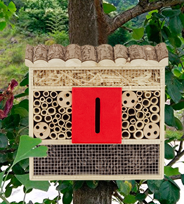 Review of Gardirect Insect Hotel Bee and Butterfly House