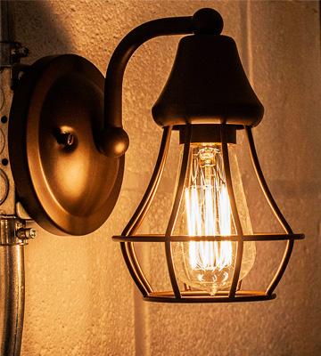 Review of Hudson Lighting 60W Edison Bulbs