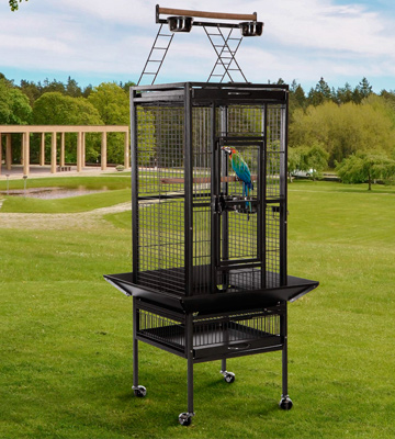Super Deal PRO 61''/ 68’’ 2in1 Large Bird Cage with Rolling Stand - Bestadvisor