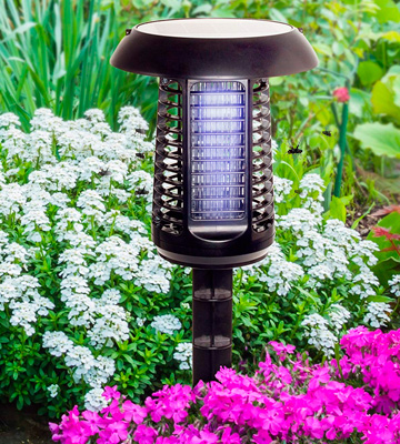 Review of GreenLighting Solar Powered UV LED Bug Zapper & Lantern