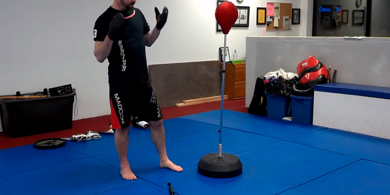 Review of Protocol Adults & Kids punching bag with stand