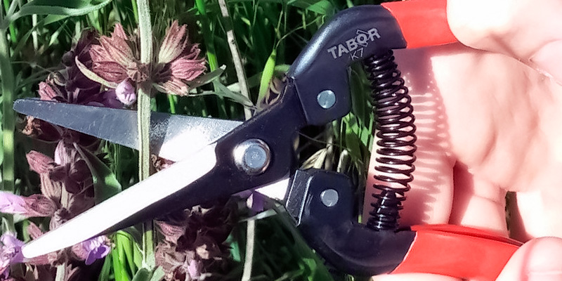 Review of Tabor Tools K-7 Straight Blade Pruning Shears