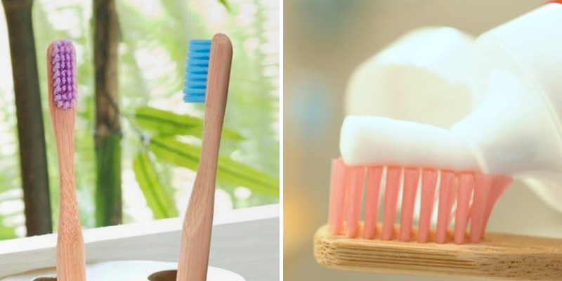 Review of GoWoo Soft Natural Bamboo Toothbrush