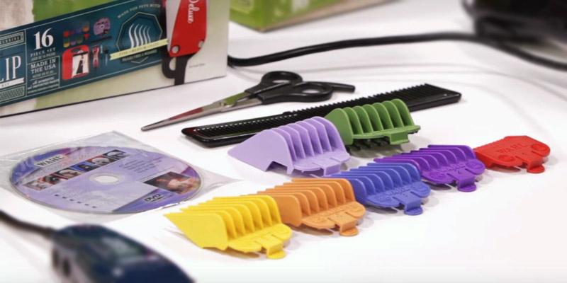 Wahl Professional Animal Deluxe U-Clip Pet Grooming Kit in the use