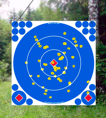 Review of Big Dawg Targets Adhesive Target 12 Inch Reactive Splatter