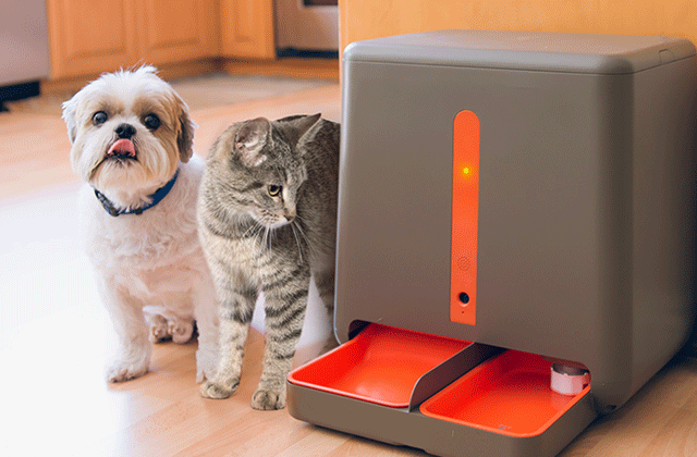 Comparison of Automatic Pet Feeders