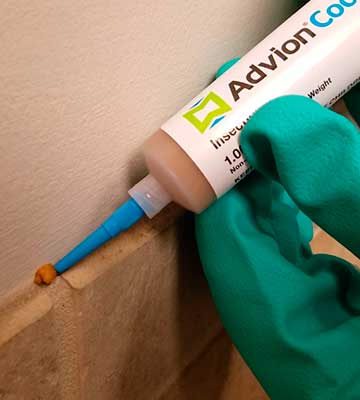 Review of advion 383920 4 Tubes and 4 Plungers Cockroach Pest Control