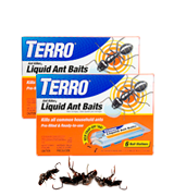 Terro T300B Liquid Ant Baits