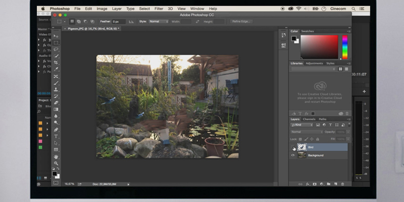 Skillshare Basics of Photoshop 2013: Fundamentals application