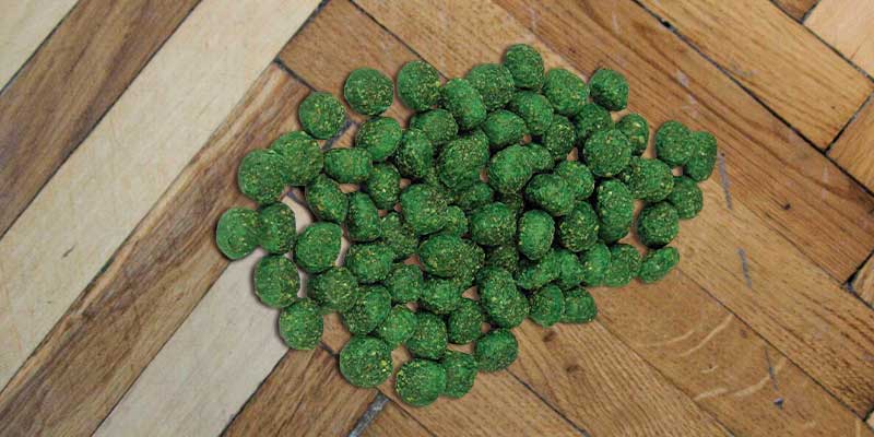Review of Neogen Diphacinone Ramik Green Rodenticide Nuggets
