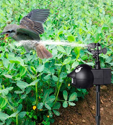 Review of Aspectek TCF027_14 Motion Sensor Activated Sprinkler