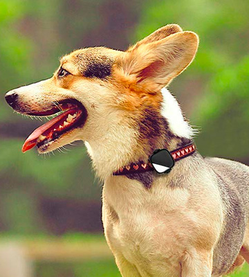 Review of PetFon Pet GPS Tracker Real-Time Tracking Collar Device
