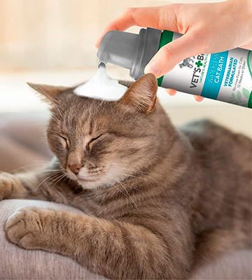 Review of Vet's Best Waterless Dry Shampoo for Cats