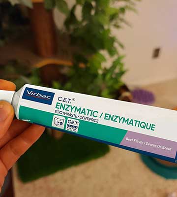 Review of Virbac CET Enzymatic Toothpaste