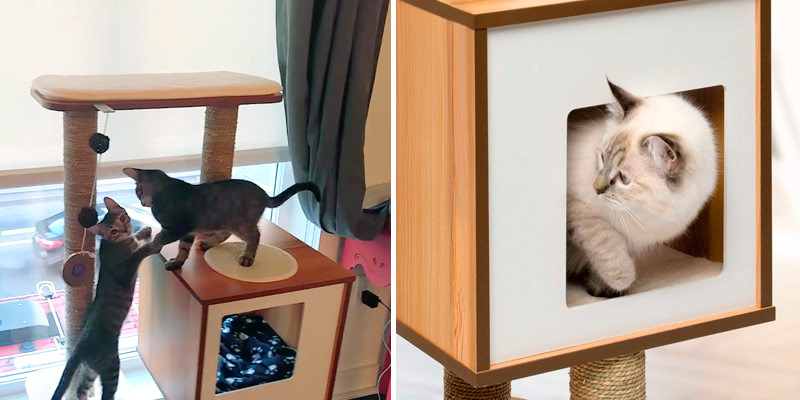 Vesper Cat Tree Furniture in the use