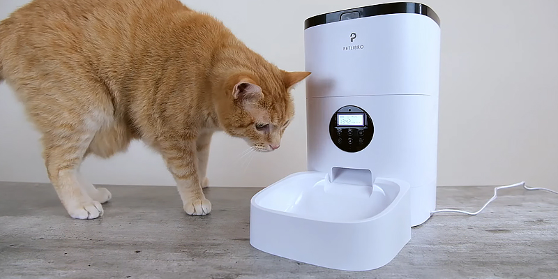 Review of PETLIBRO (PL-AF001-01W) Automatic Cat Feeder