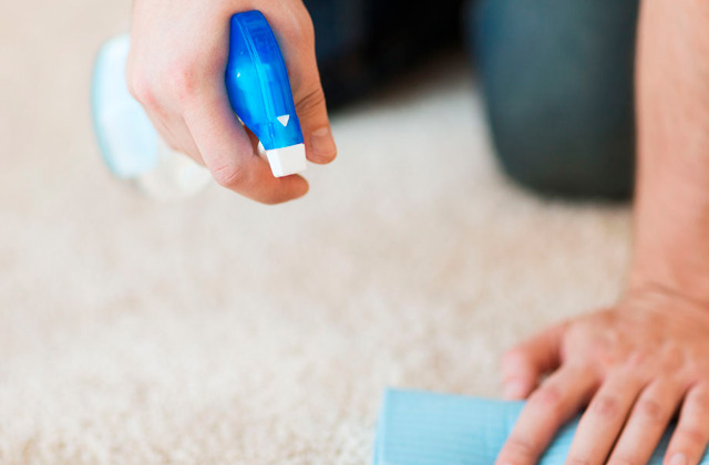 Comparison of Carpet Stain Removers