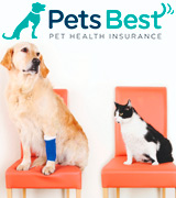 Pets Best Pet Insurance for Dogs and Cats