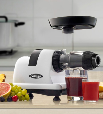 Review of Omega J8006HDS Slow Speed Masticating Juicer