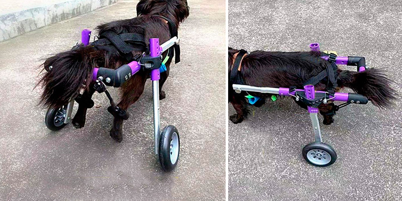 Review of SYLPHID Adjustable Dog Wheelchair