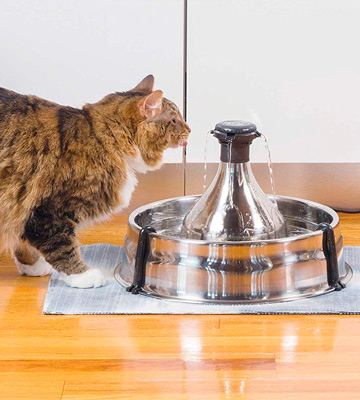 Review of PetSafe Drinkwell 360 Multi-Pet Stainless Steel Dog and Cat Fountain