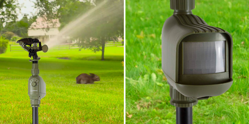 Review of Havahart 5277 Motion-Activated Animal Repellent & Sprinkler