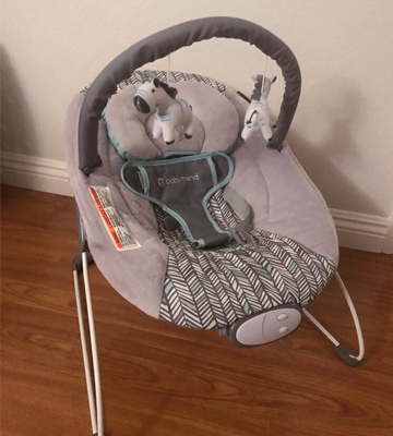 Review of Baby Trend BC20B25B EZ Bouncer