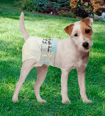 Review of Simple Solution Disposable Dog Diapers