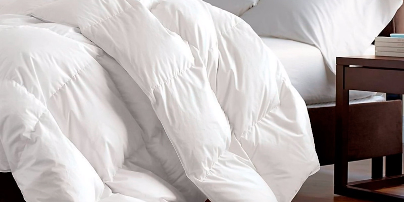 Review of Chezmoi Collection Comforter White Goose Down Alternative, Queen Size