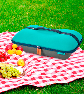 Arctic Zone Deluxe Hot/Cold Insulated Food Carrier - Bestadvisor