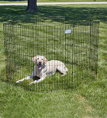 Review of MidWest Homes for Pets Folding Metal Exercise 24W x 42H Pen / Pet Playpen