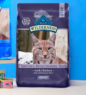 Review of Blue Buffalo Wilderness High Protein Grain Free Natural Adult Dry Cat Food