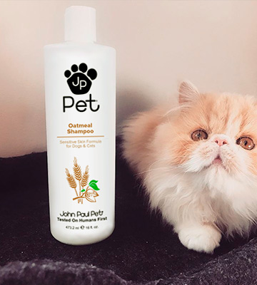 Review of John Paul Pet Sensitive Skin Formula Oatmeal Shampoo for Dogs and Cats