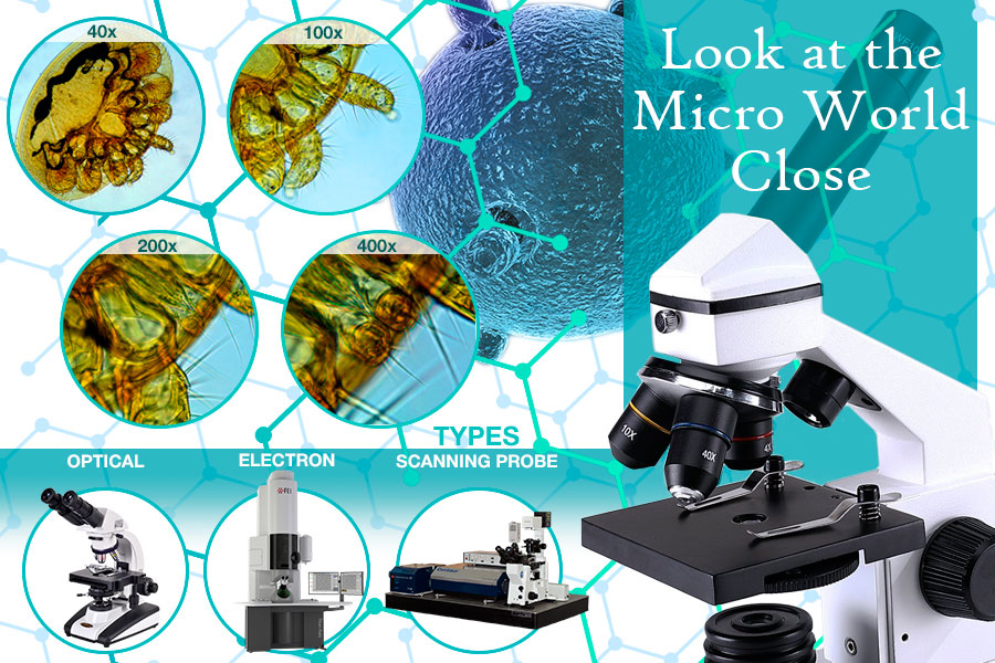 Comparison of Microscopes