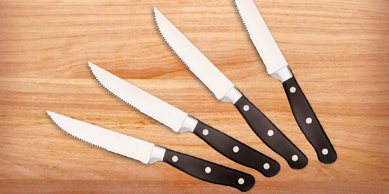 Review of AmazonBasics 0181 8-Piece Steak Knife Set