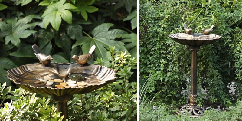 Review of Zeny Vintage Yard Art Height Pedestal Bird Bath